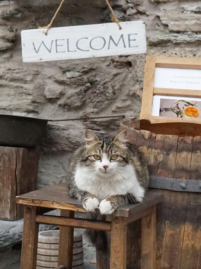 Pensione Albergo Diffuso Ceaglio Valle Maira Marmora Kültér fotó